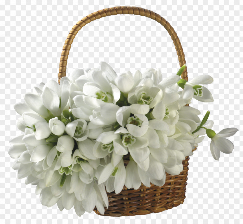 Snowdrop Flower Bouquet Basket Desktop Wallpaper PNG
