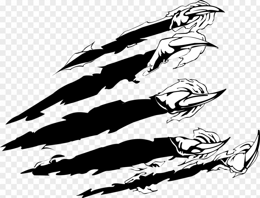 Vector Painted Claws Claw Euclidean Download Clip Art PNG