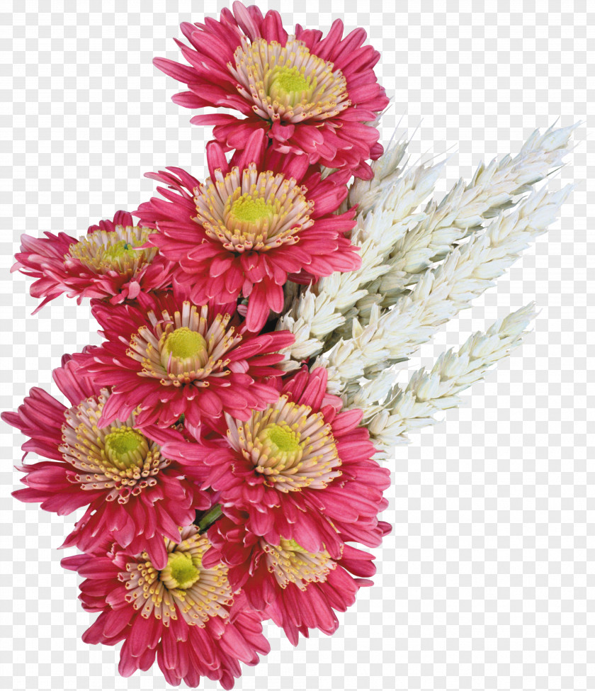 Bouquet Of Flowers Cut Flower PNG