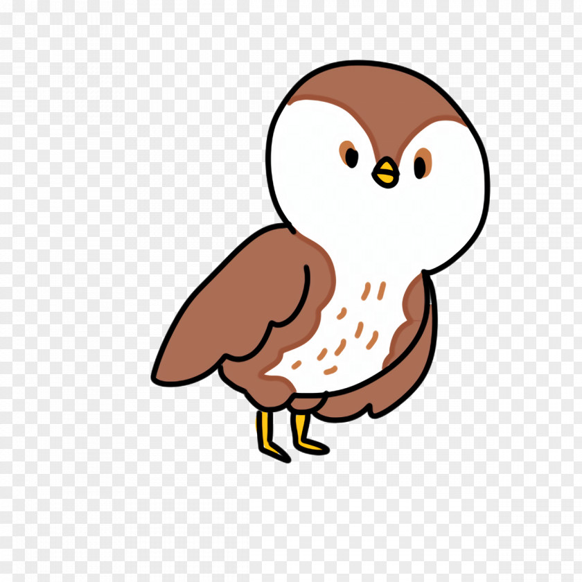 Cartoon Owl M Beak PNG