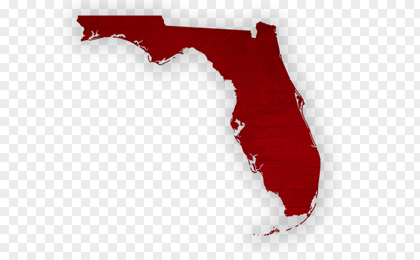 Map Florida Royalty-free Stock Photography PNG