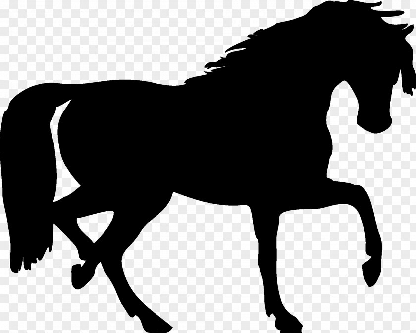 Mustang Silhouette Clip Art PNG