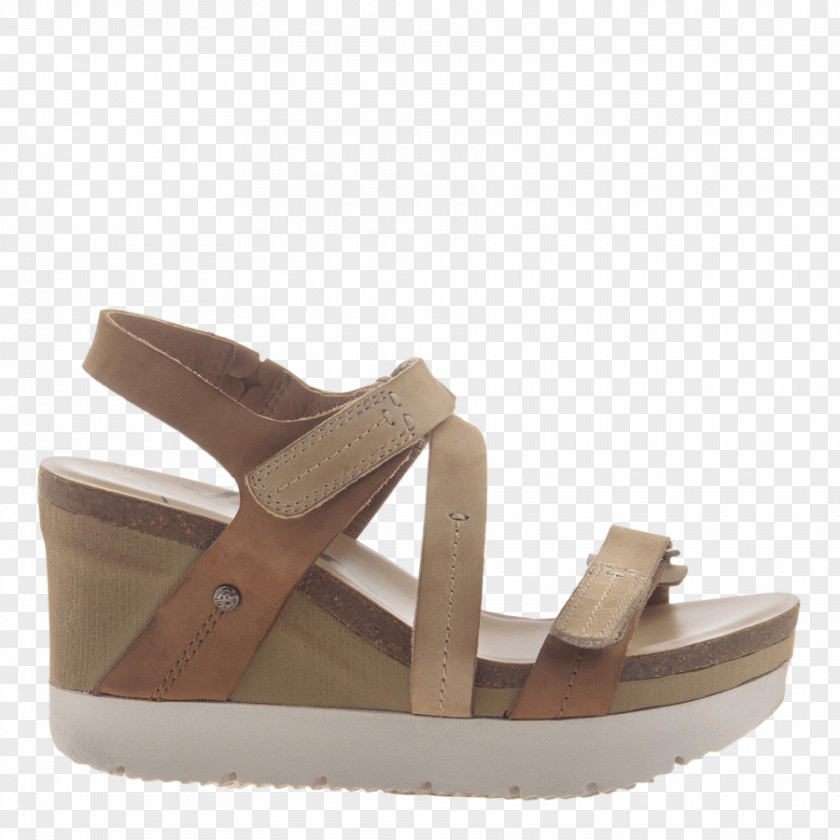 Sandal Shoe Wedge Suede Dress PNG