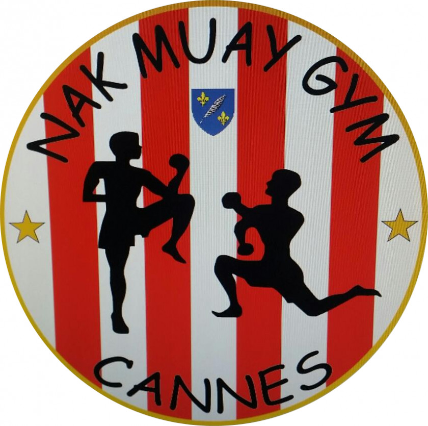 Vigny Kickboxing Muay Thai Contact Sport Boxe PNG