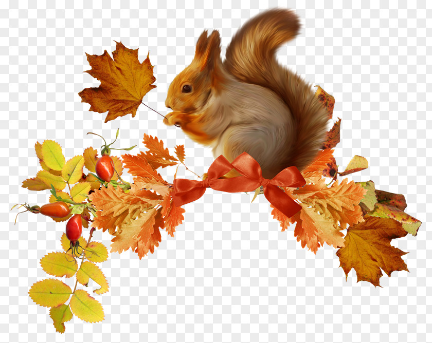 Dn Chipmunk Autumn Clip Art PNG
