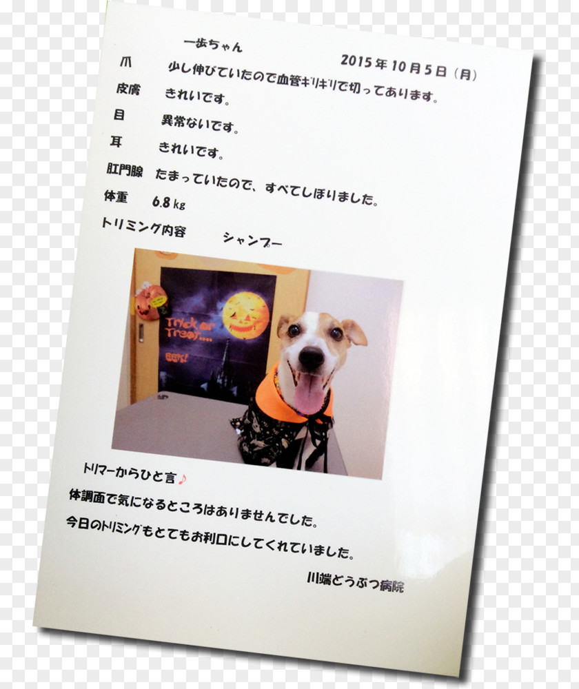 Dog Breed Poster PNG