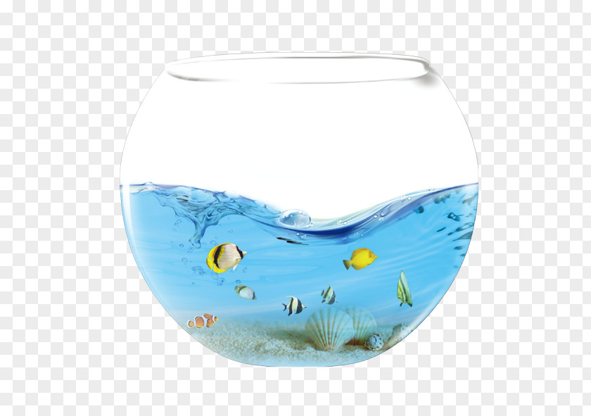 Seabed Wizard Aquarium Fish Water Icon PNG