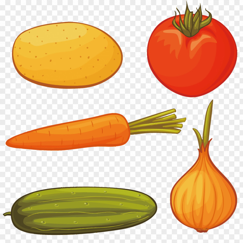 Vector 5 In The Vegetables Carrot Onion Drawing Royalty-free PNG