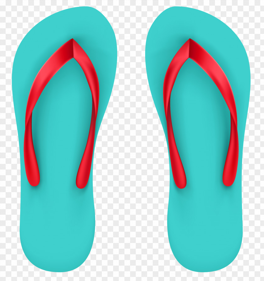 Beach Sandal Flip-flops Clip Art PNG