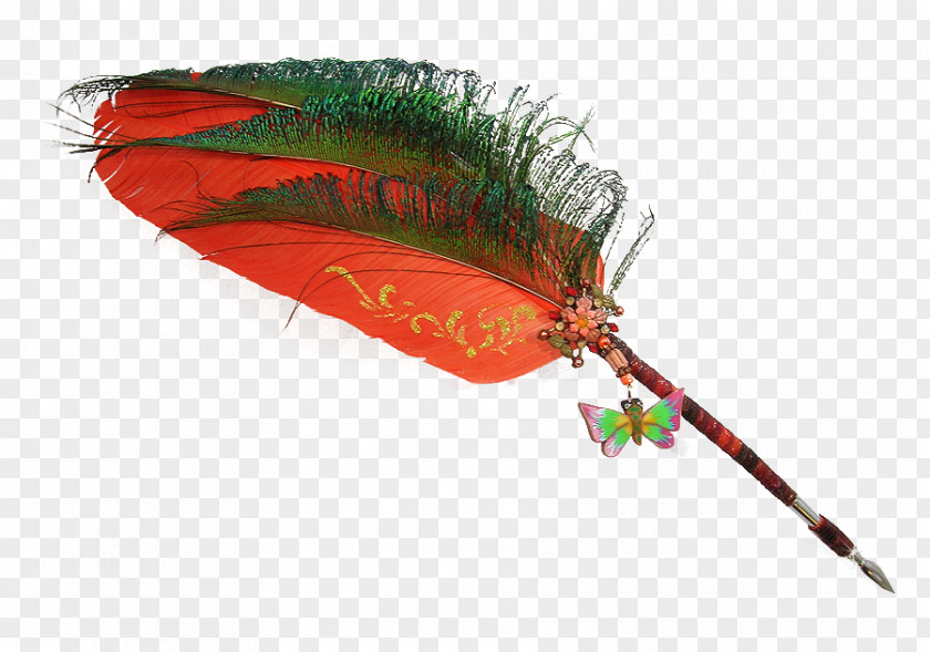 Duke Feather Orange S.A. PNG