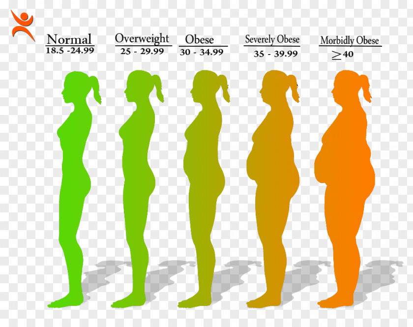 Fat Man Obesity Body Mass Index Health Disease Weight PNG