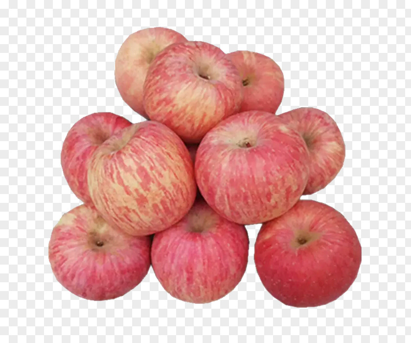 Free Apple Pull Pictures Fuji PNG
