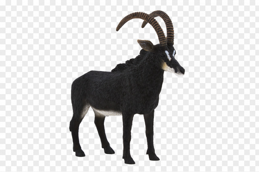 Goat Pronghorn Sable Antelope Cattle PNG