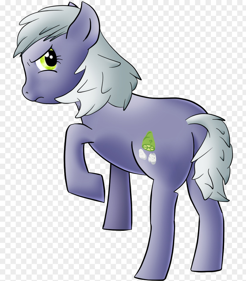 Horse Artist Cat PNG