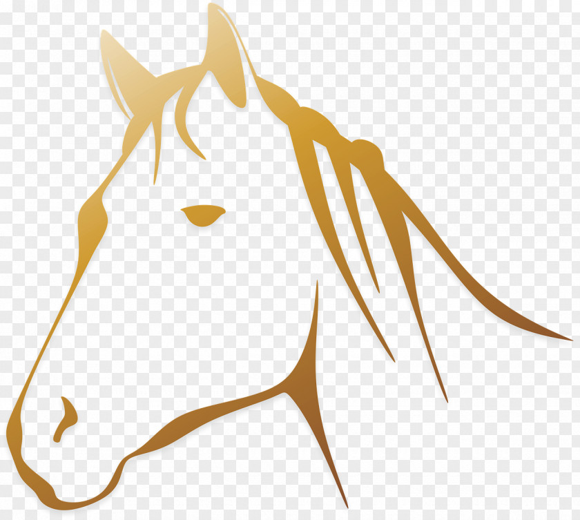 Horse Clip Art PNG