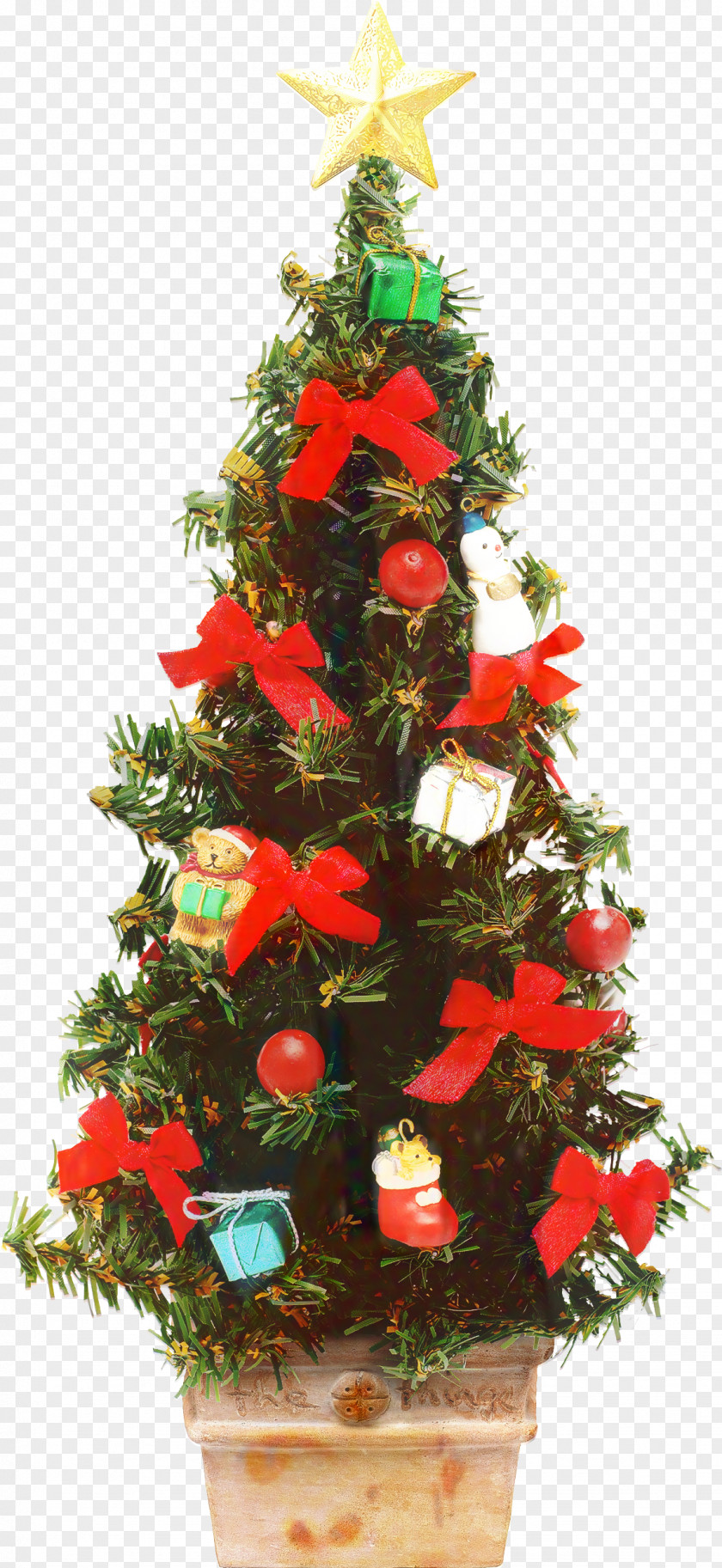 Houseplant Artificial Flower Christmas And New Year Background PNG