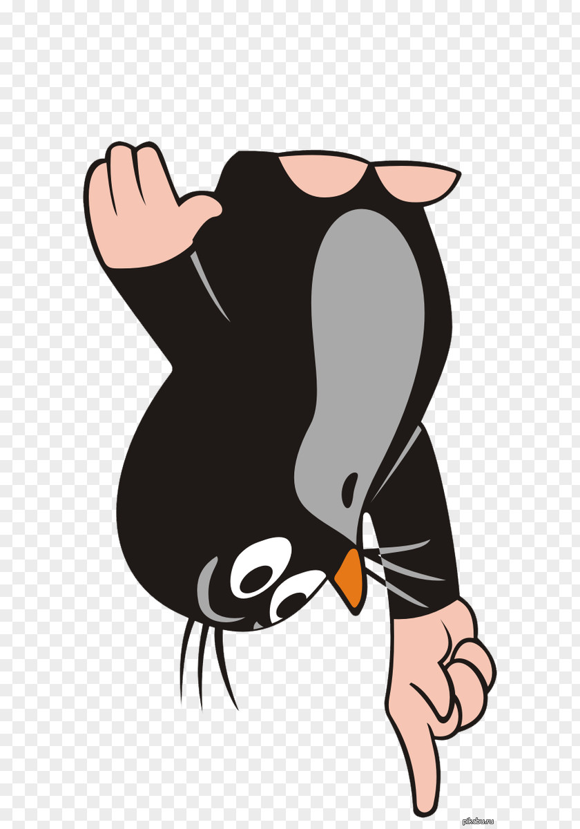 Penguin Character Beak Clip Art PNG