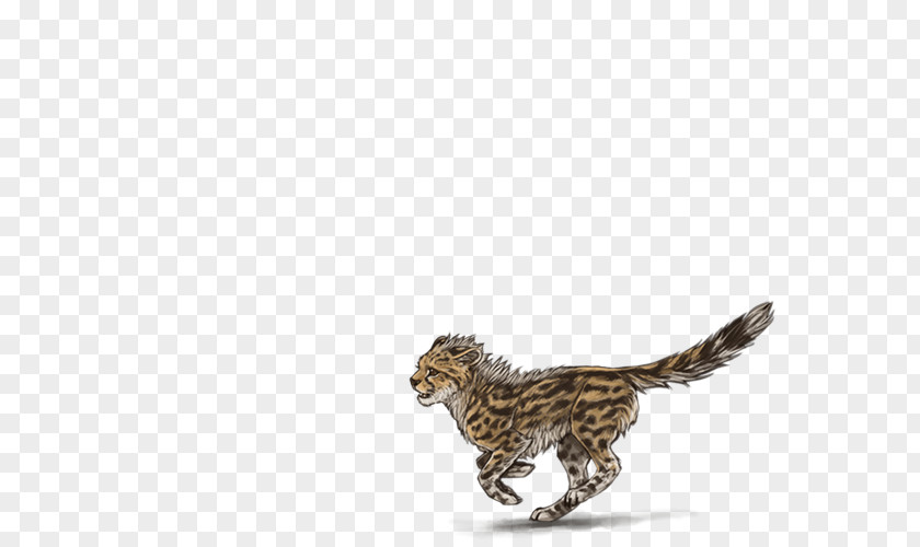 Cheetah Felidae Cat Lion Leopard PNG