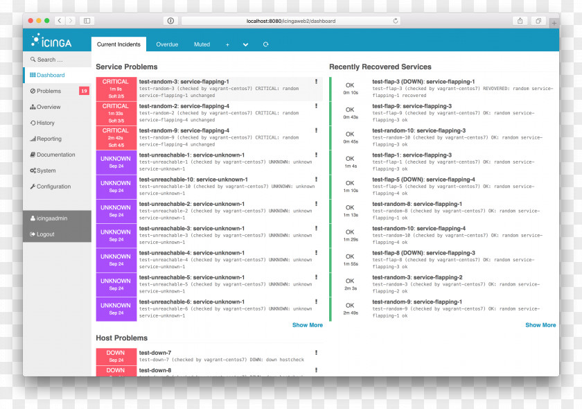 Icing Icinga Network Monitoring Computer Software Nagios Program PNG