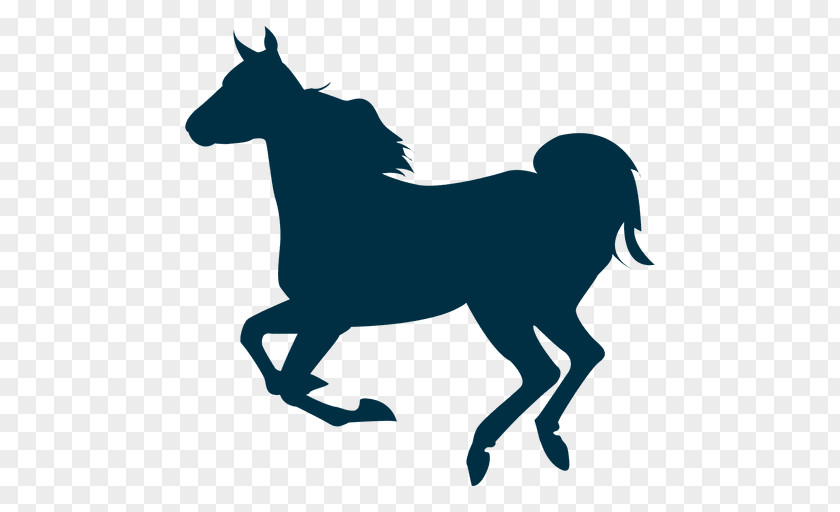 Mustang Gallop Pony Stallion Silhouette PNG