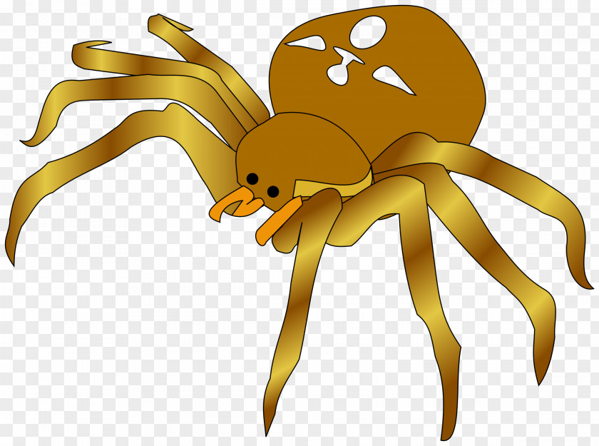 Spider Clip Art PNG