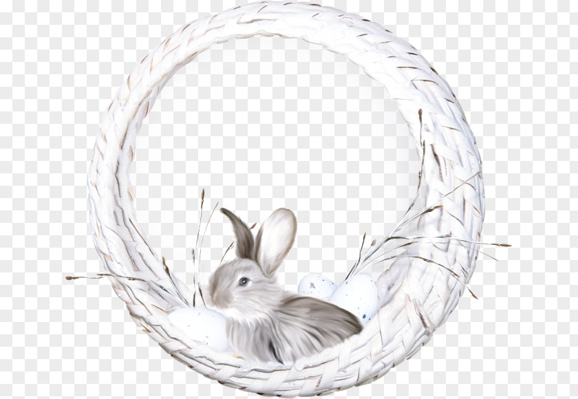 Tail Oval Whiskers Rabbit PNG