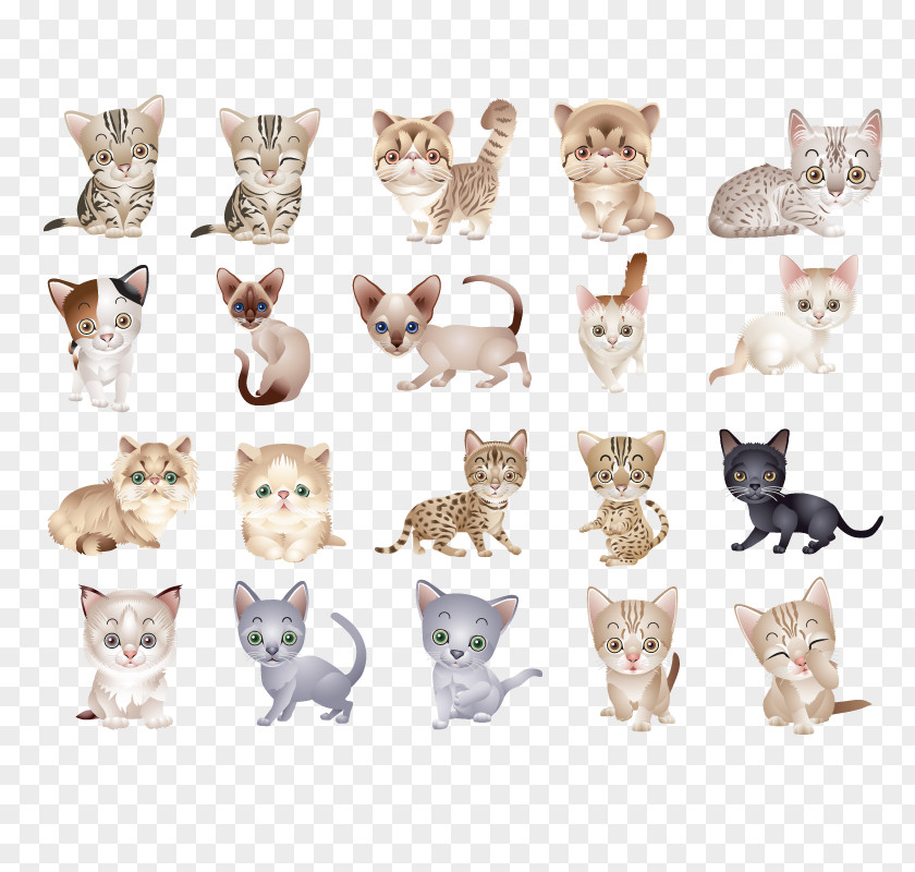 Vector Kitten Cat Icon PNG