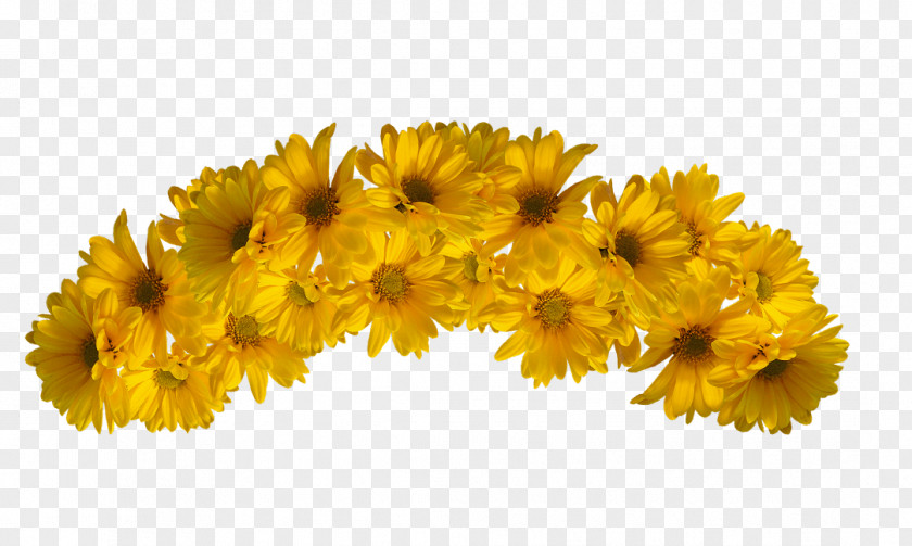 Flower Crown Yellow Color PNG
