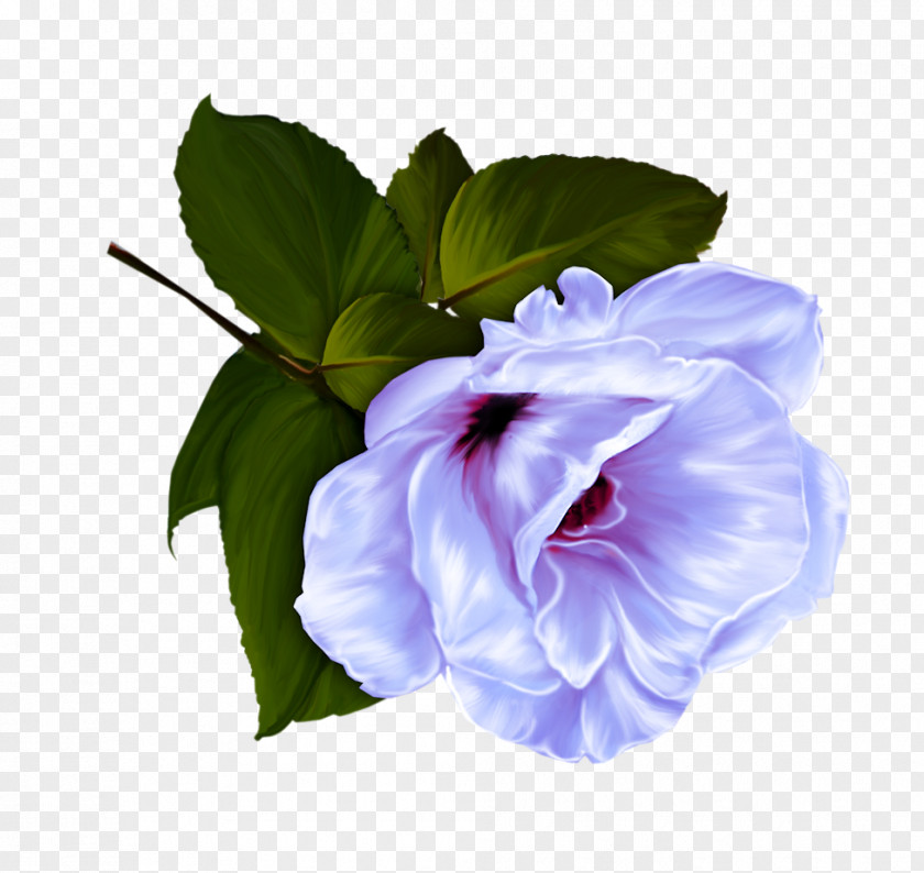 Flower Яндекс.Фотки Yandex .ru PNG