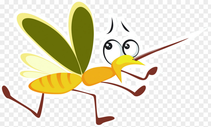 Mosquito Bloodsucking Mosquitoes Cartoon PNG