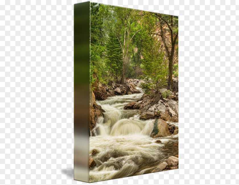 Mountain Stream Waterfall Nature Reserve Water Resources River PNG