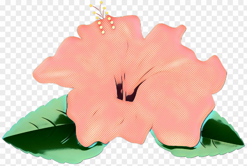 Rosemallows Rose Family Pink M Petal PNG