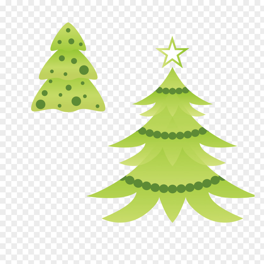 Star Christmas Tree Balsam Fir Drawing Ornament PNG