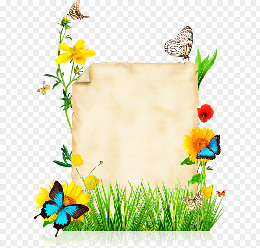 Summer Vacation Flower Stock Photography Best Borders Clip Art PNG