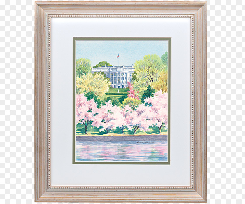 White House Tidal Basin Earring National Cherry Blossom Festival PNG