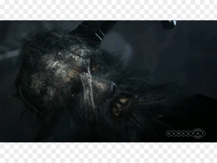 Bloodborne PlayStation 4 Electronic Entertainment Expo 2014 FromSoftware Video Game PNG