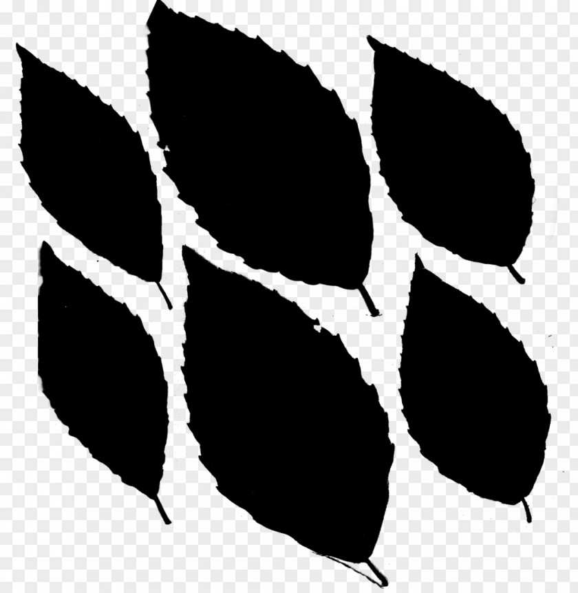 Leaf Pattern Font Line Silhouette PNG