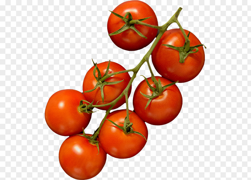 Madame Tricot Delicatessen Plum Tomato Bush PITZ PINCHOS BORREL BAR Food Délicieux I Brasserie & PNG
