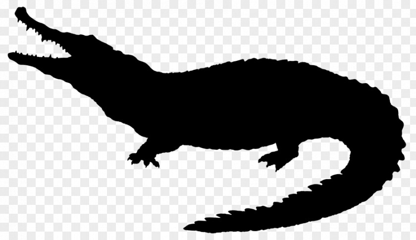 Mustelids Tyrannosaurus Velociraptor Fauna Clip Art PNG