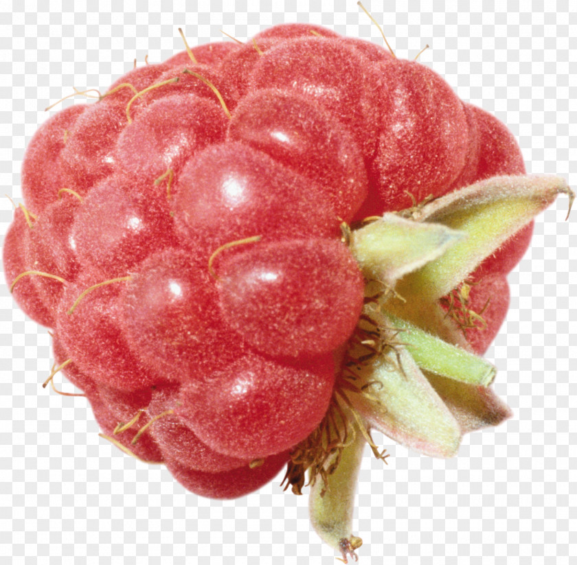 Raspberry Image Clip Art PNG