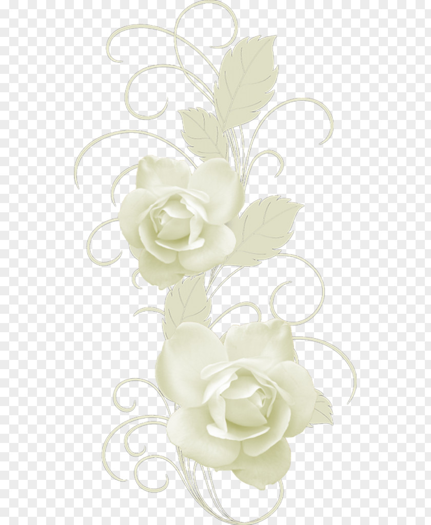 Rose Garden Roses Floral Design Cut Flowers Ho Amato Una Transessuale PNG