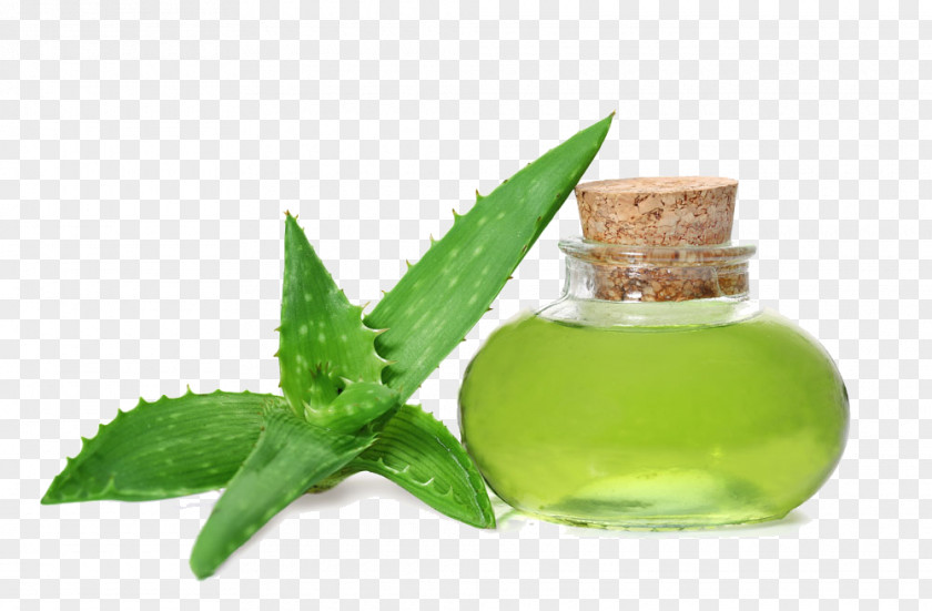Aloe Water Vera Gel Oil Skin Care Health PNG