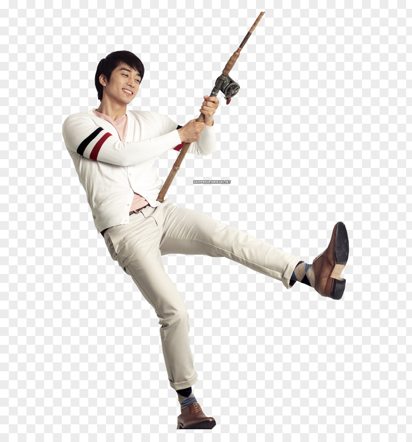 Baseball Bats PNG