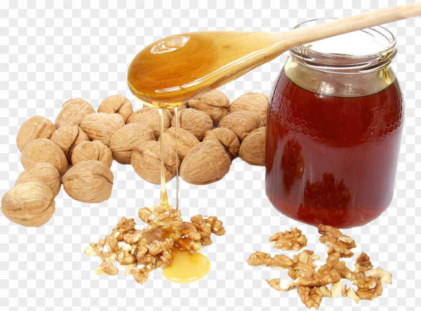 Bee Honey Walnut Nuts Hazelnut PNG