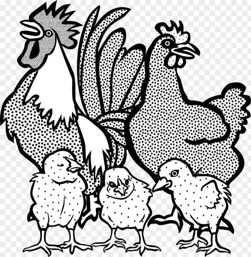 Chick Chicken Rooster Line Art Clip PNG