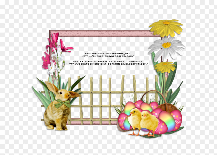 Easter Border Bunny Picture Frames Praznik PNG