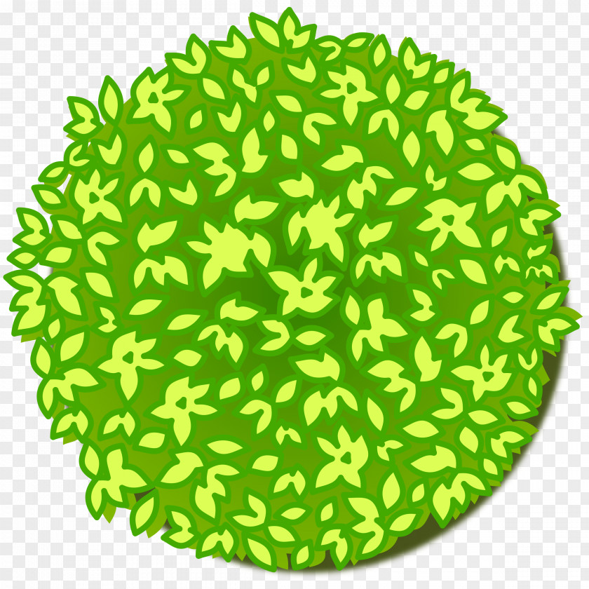 Tree Bonsai Clip Art PNG