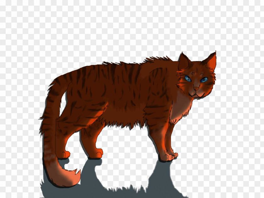 Cat Whiskers Flametail Red Fox Art PNG