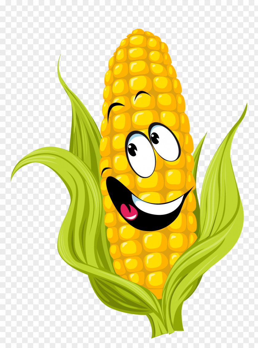 Corn On The Cob Drawing Sweet Clip Art PNG