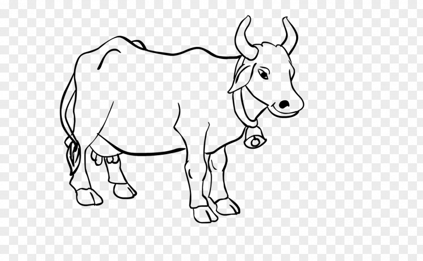 Cow Cattle Line Art Drawing Cartoon PNG